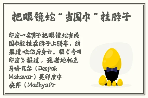 迷人的妺妺伦理HD